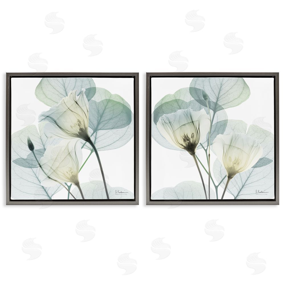 Albert Koetsier Divine Fate Flowers Gray Floating Frame Canvas Wall Art Print