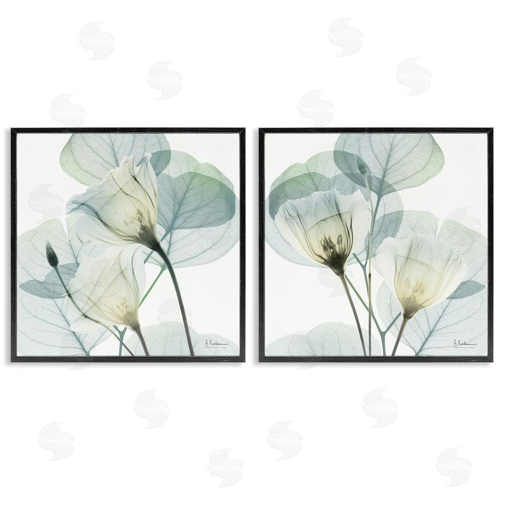 Albert Koetsier Divine Fate Flowers Black Framed Giclee Wall Art Print