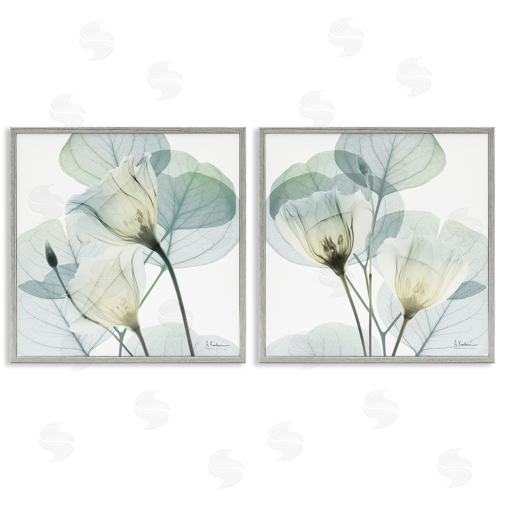 Albert Koetsier Divine Fate Flowers Gray Framed Giclee Wall Art Print