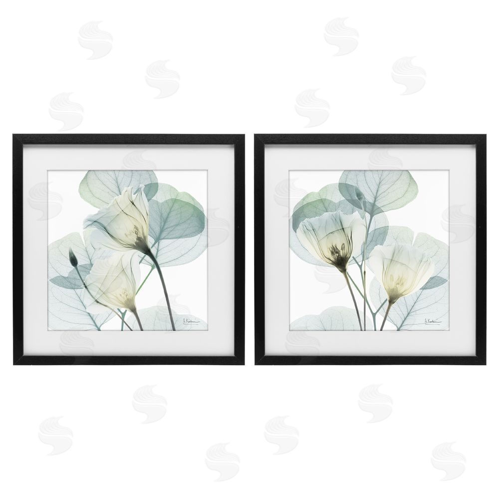 Albert Koetsier Divine Fate Flowers Black Framed Print Under Glass Wall Art