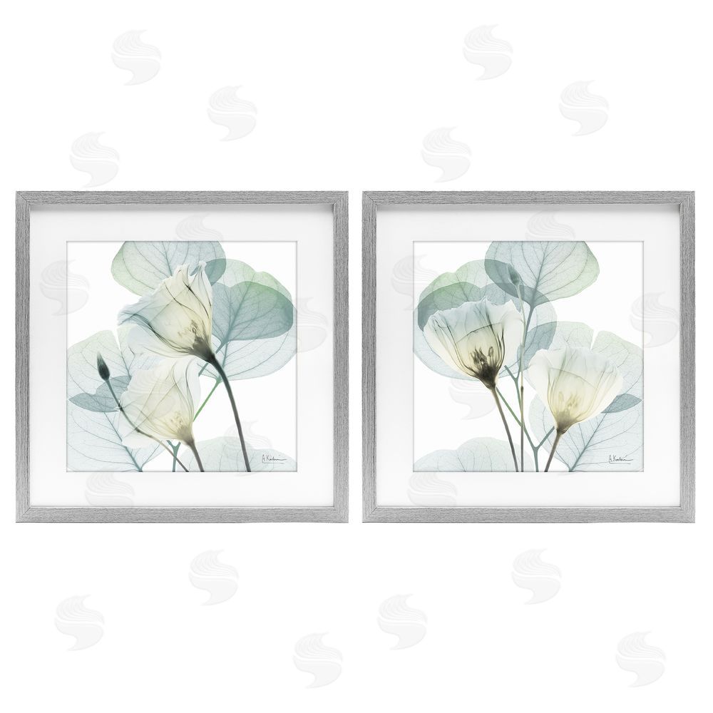 Albert Koetsier Divine Fate Flowers Gray Framed Print Under Glass Wall Art