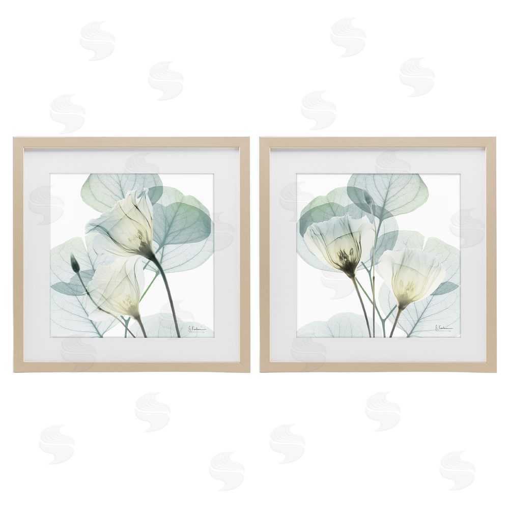 Albert Koetsier Divine Fate Flowers Brown Framed Print Under Glass Wall Art