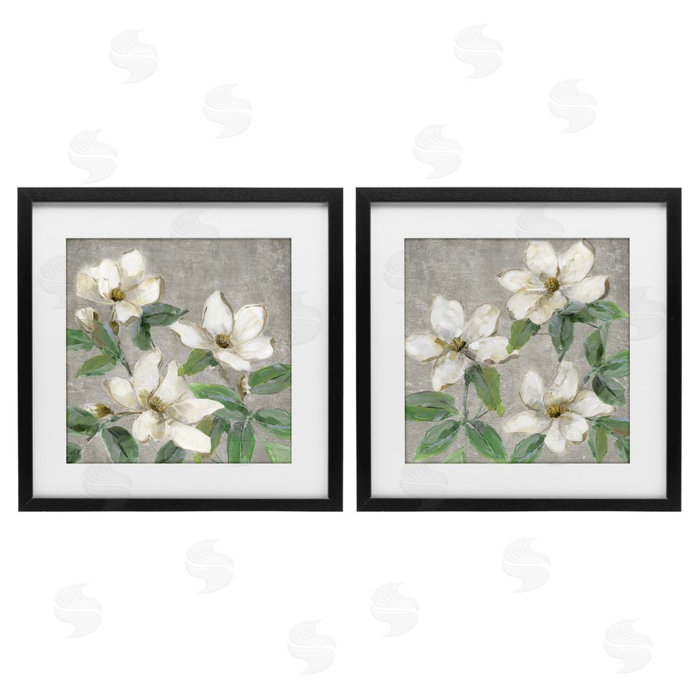 Sally Swatland Blooming Ivory Magnolias Black Framed Print Under Glass Wall Art