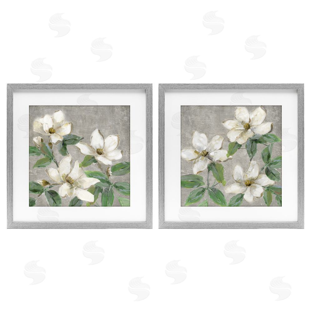 Sally Swatland Blooming Ivory Magnolias Gray Framed Print Under Glass Wall Art