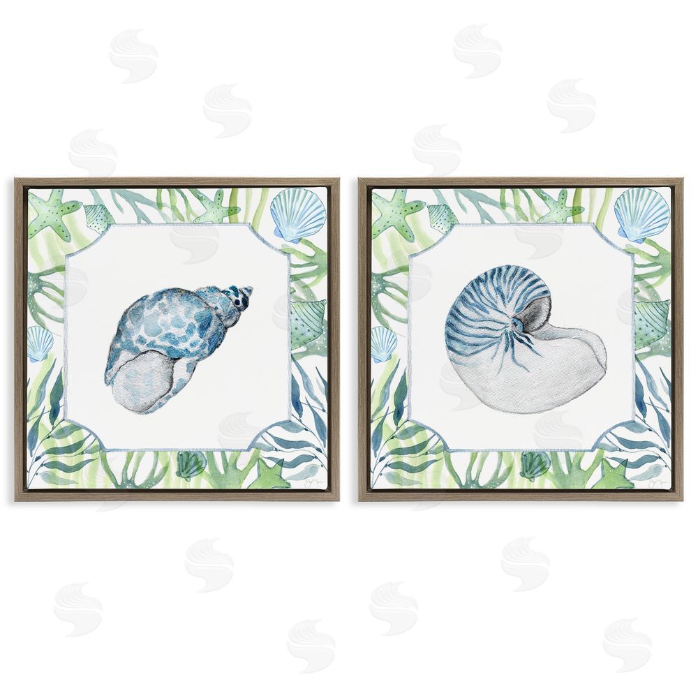 Janet Tava Seaweed Bordered Seashells Brown Floating Frame Canvas Wall Art Print