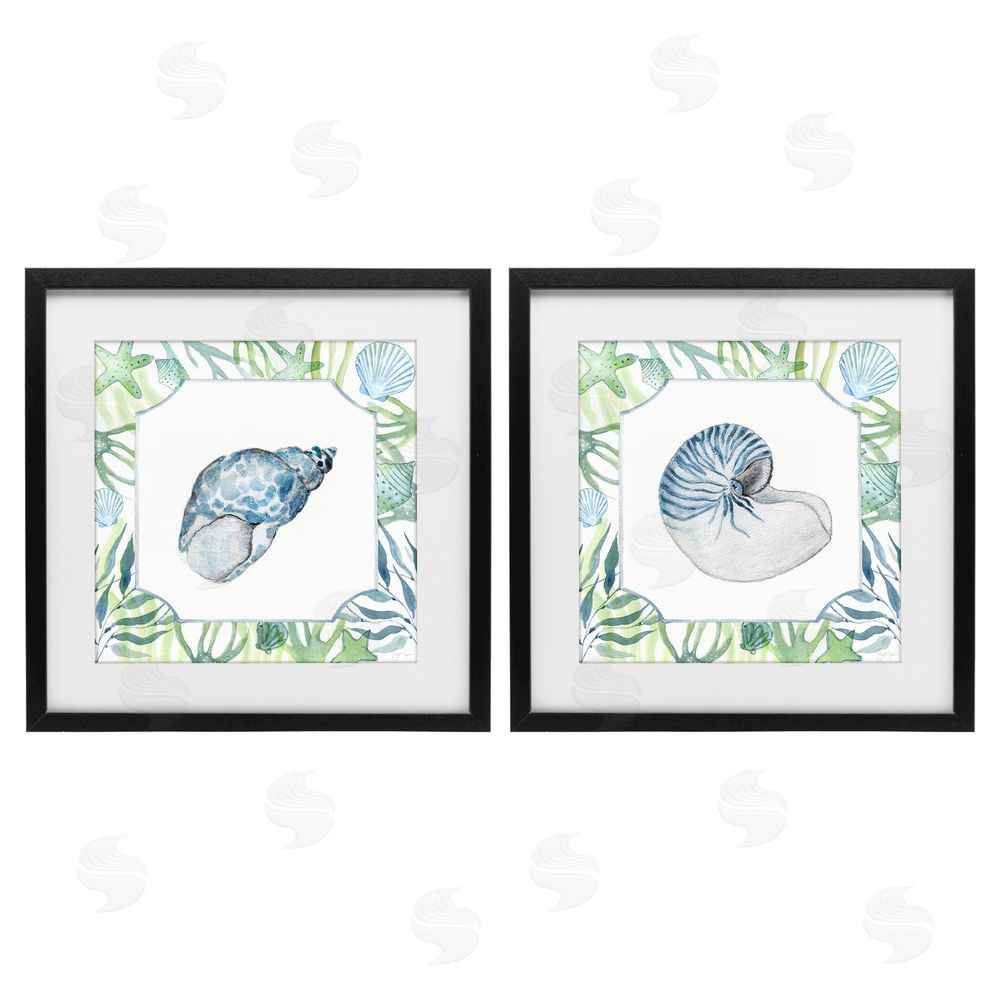 Janet Tava Seaweed Bordered Seashells Black Framed Print Under Glass Wall Art