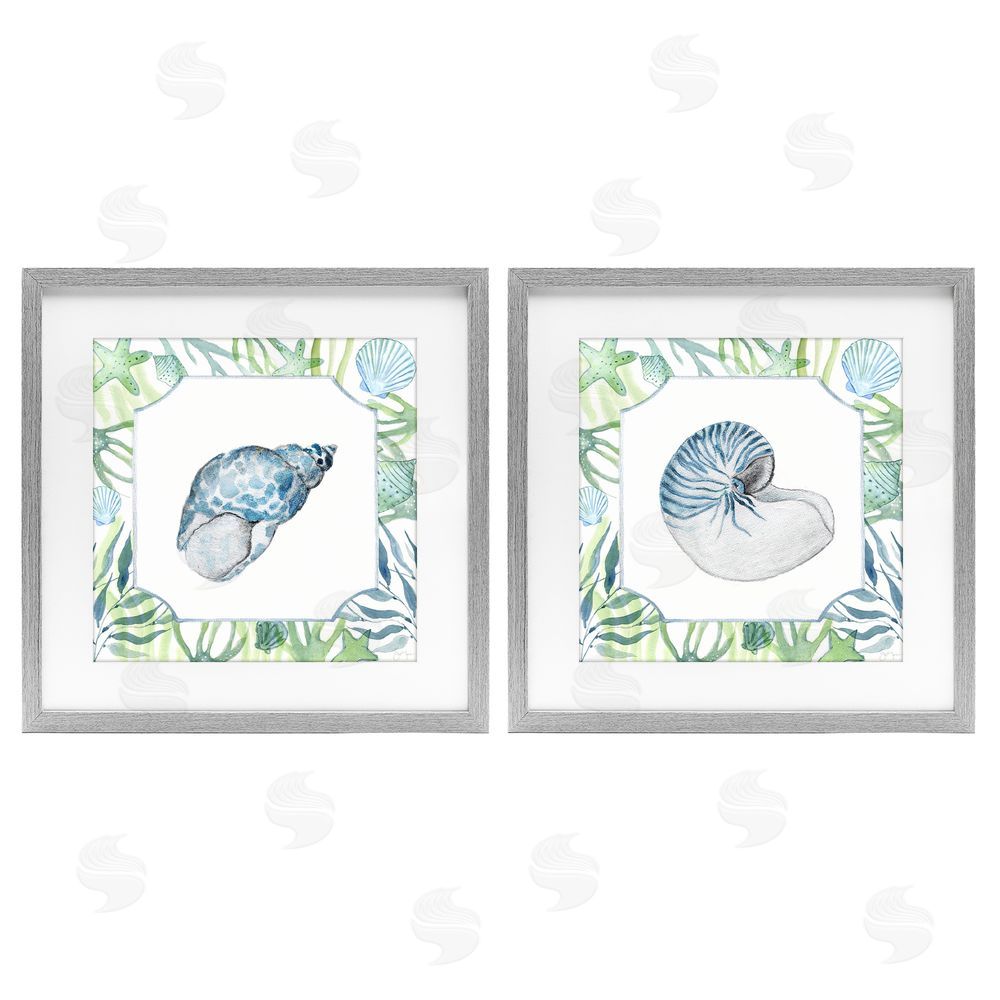 Janet Tava Seaweed Bordered Seashells Gray Framed Print Under Glass Wall Art