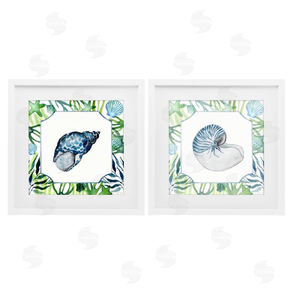 Janet Tava Seaweed Bordered Seashells White Framed Print Under Glass Wall Art