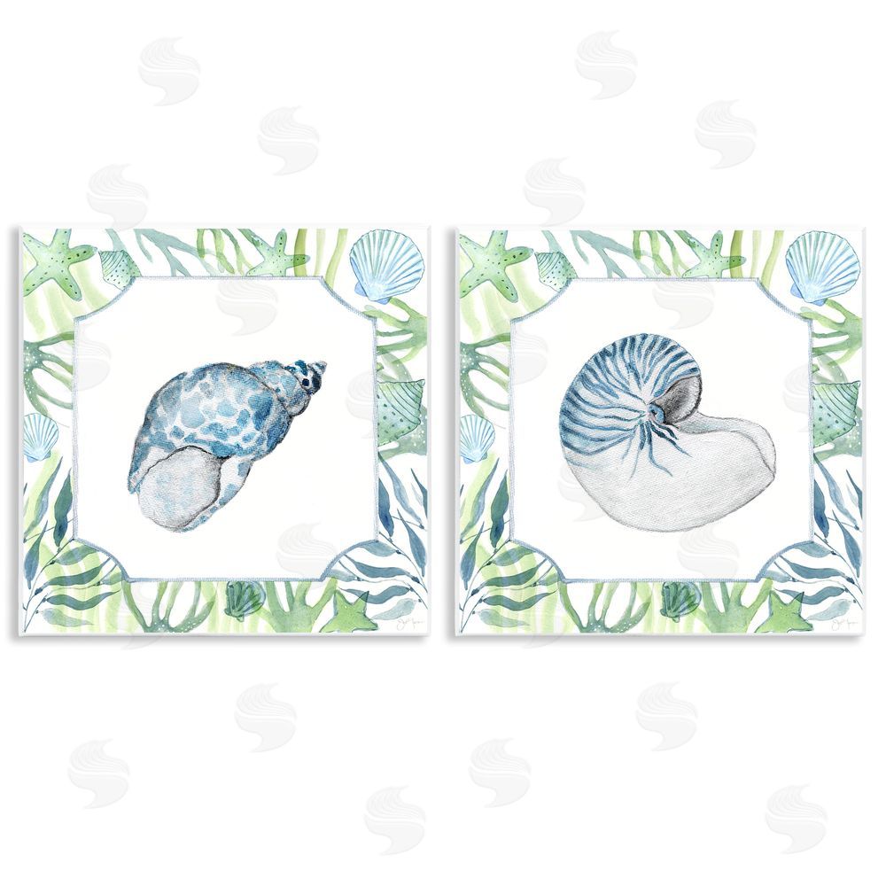 Janet Tava Seaweed Bordered Seashells Wooden Wall Plaque Art Print