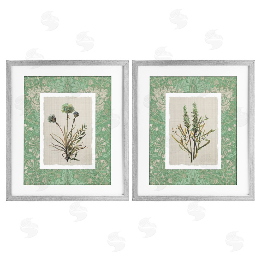 Carol Robinson Green Tone Herbal Blooms Gray Framed Print Under Glass Wall Art