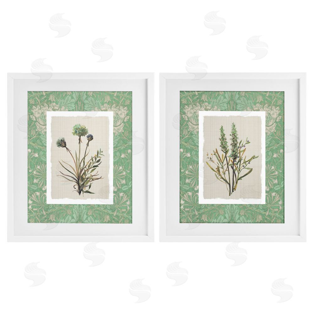 Carol Robinson Green Tone Herbal Blooms White Framed Print Under Glass Wall Art