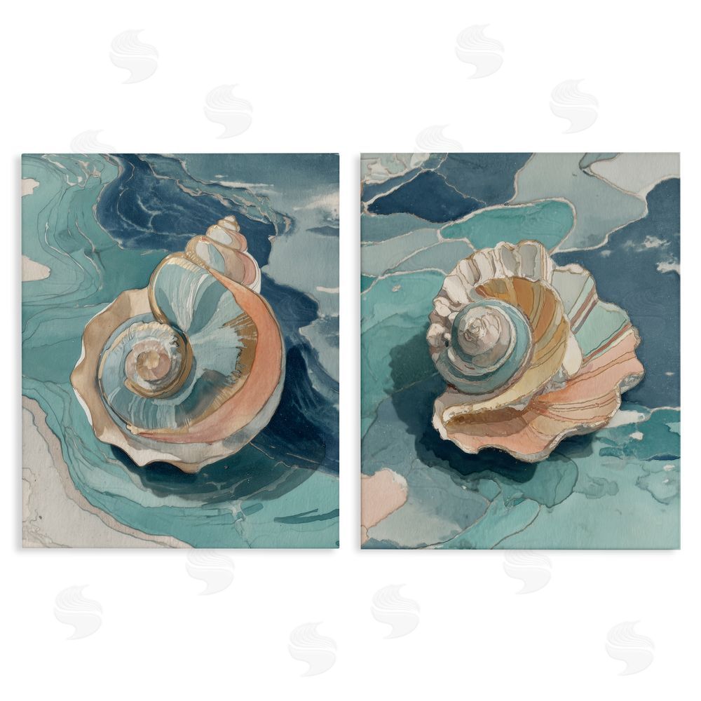 Paula Freeman Coastal Seashell Spiral on Teal Stretched Canvas Wall Art Print