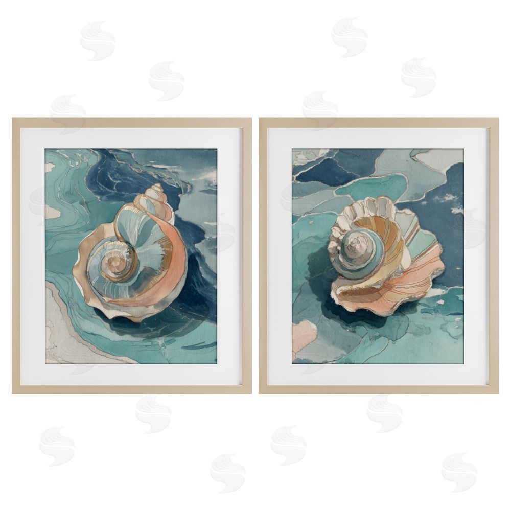 Paula Freeman Coastal Seashell Spiral on Teal Brown Framed Print Under Glass Wall Art