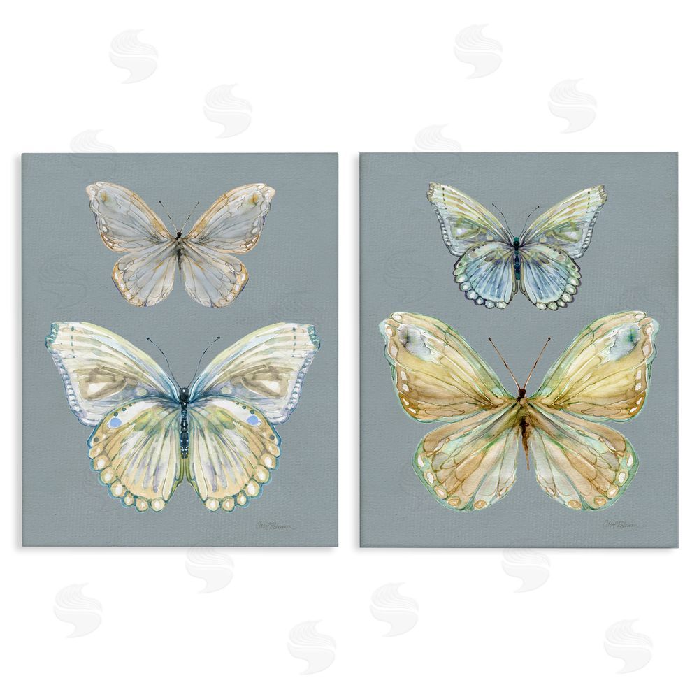 Carol Robinson Butterfly Pairs over Slate Stretched Canvas Wall Art Print