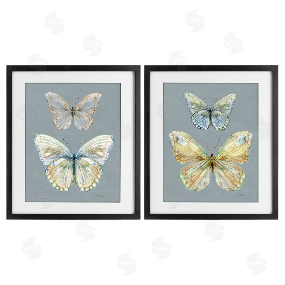 Carol Robinson Butterfly Pairs over Slate Black Framed Print Under Glass Wall Art
