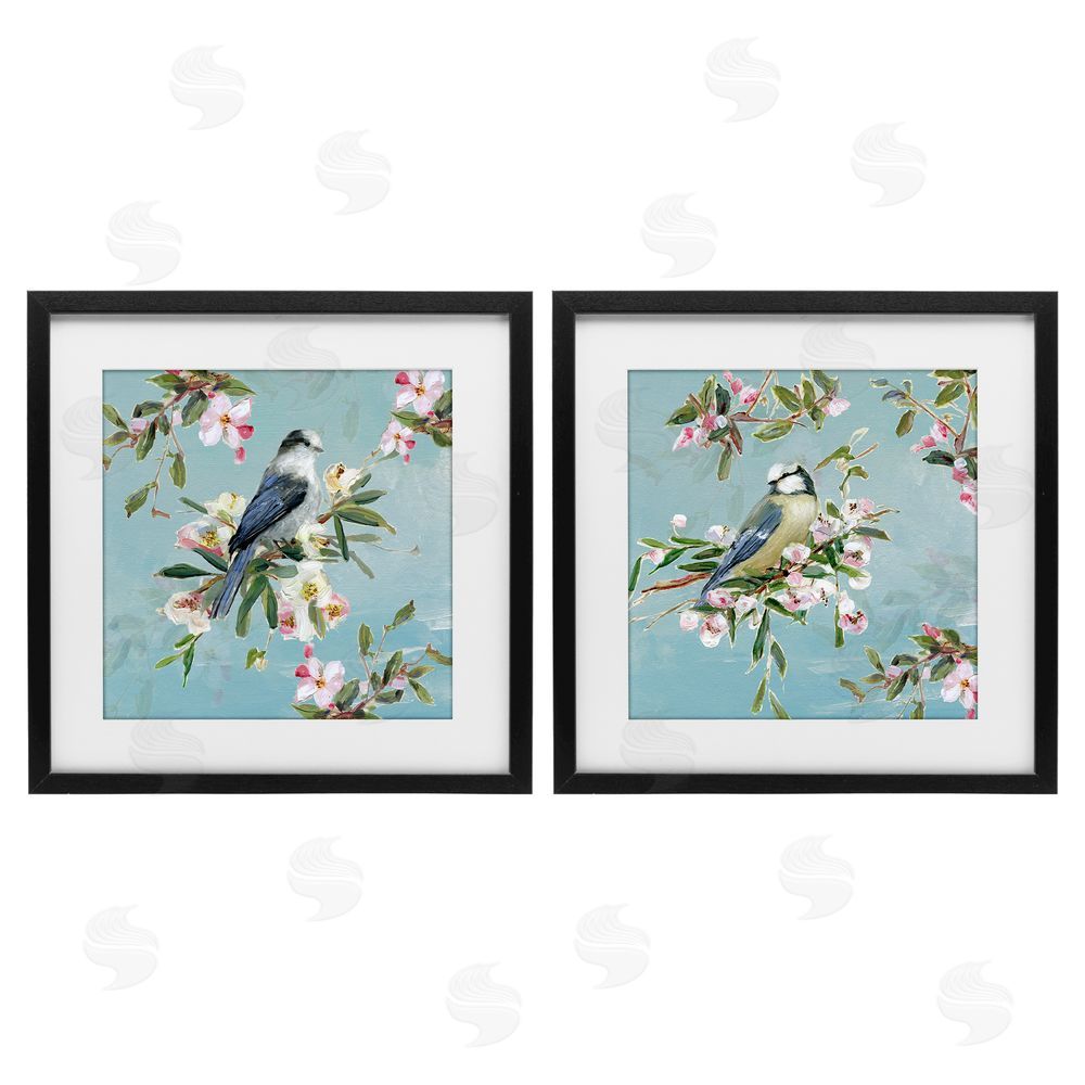 Sally Swatland Songbirds Among Spring Blossoms Black Framed Print Under Glass Wall Art