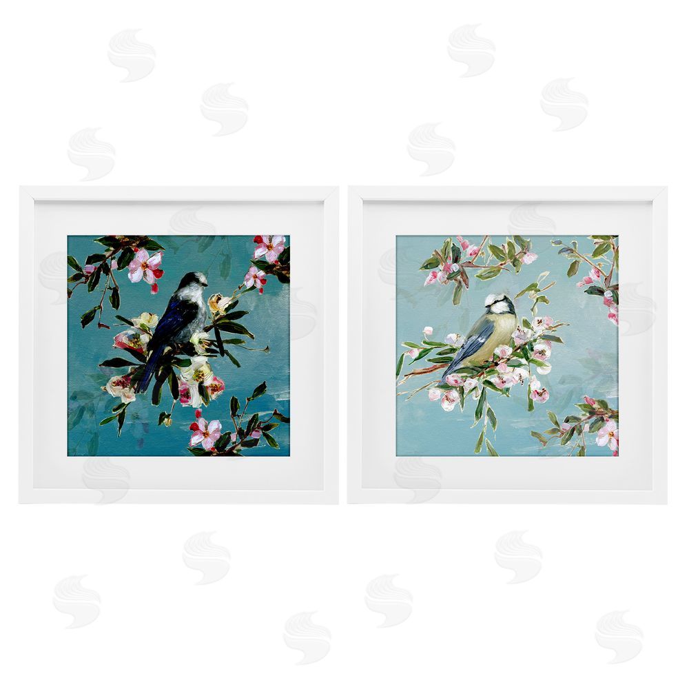Sally Swatland Songbirds Among Spring Blossoms White Framed Print Under Glass Wall Art
