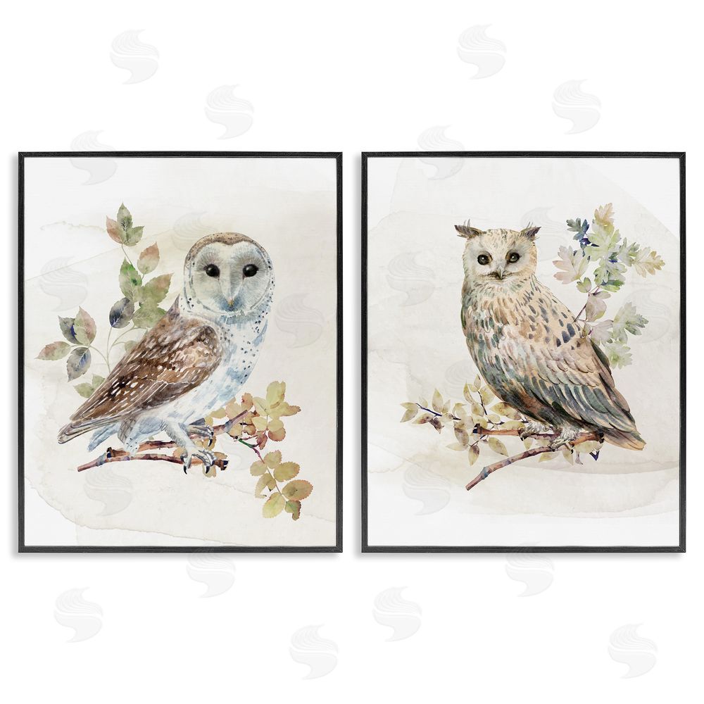 CAD Designs Owls Perched in Foliage Black Framed Giclee Wall Art Print