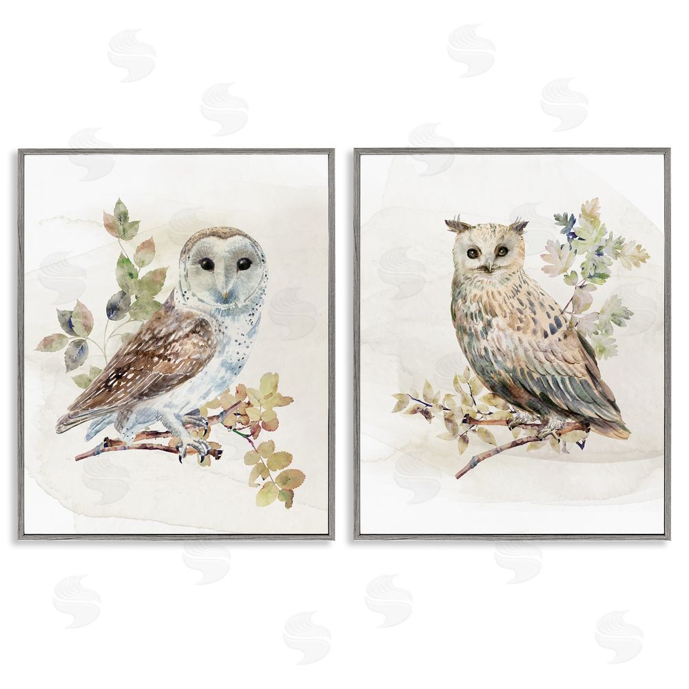 CAD Designs Owls Perched in Foliage Gray Framed Giclee Wall Art Print