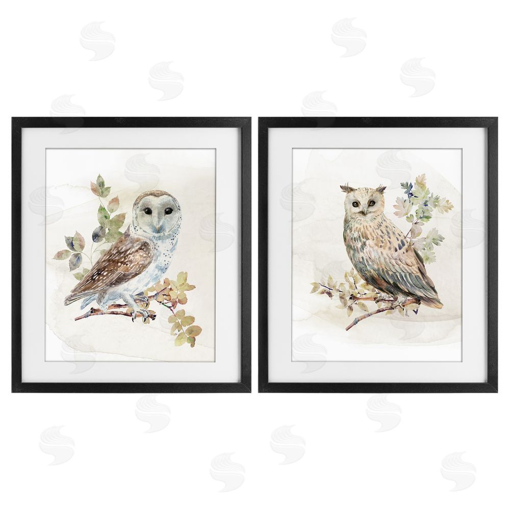 CAD Designs Owls Perched in Foliage Black Framed Print Under Glass Wall Art