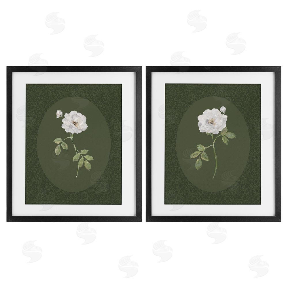 Sally Swatland Ornate Rose Studies over Emerald Black Framed Print Under Glass Wall Art
