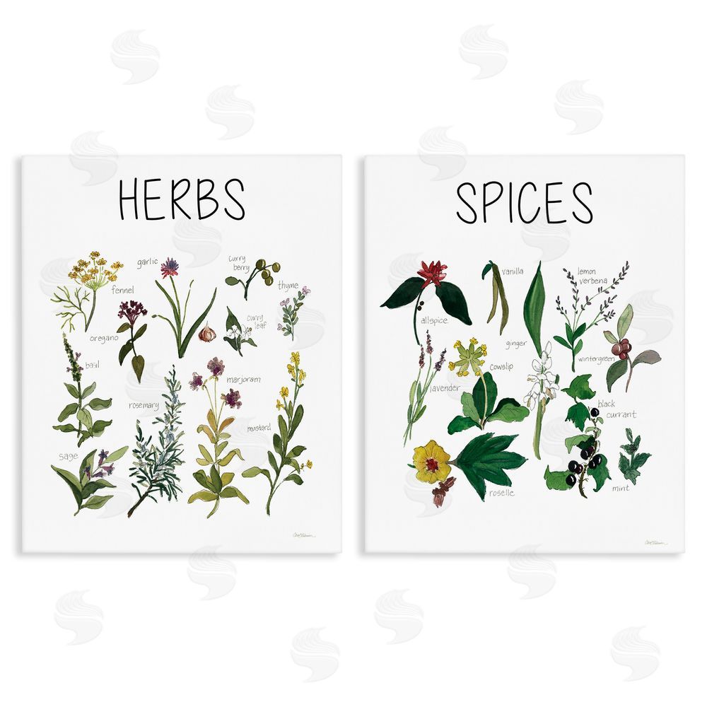 Carol Robinson Culinary Herbs & Spices Stretched Canvas Wall Art Print