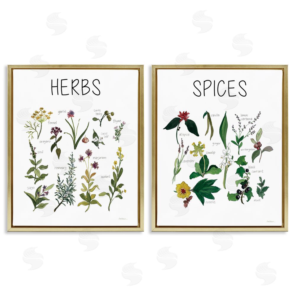 Carol Robinson Culinary Herbs & Spices Gold Floating Frame Canvas Wall Art Print