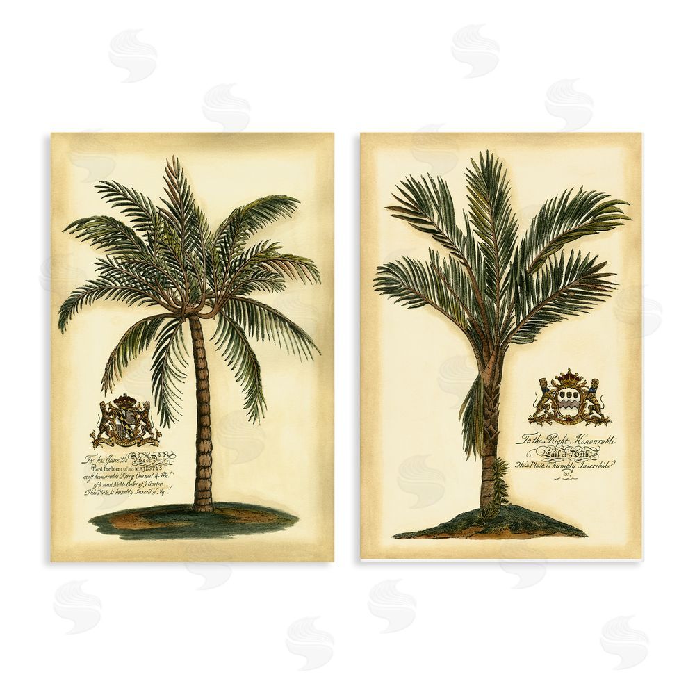 Vision Studio Vintage Historical Palms Stretched Canvas Wall Art Print