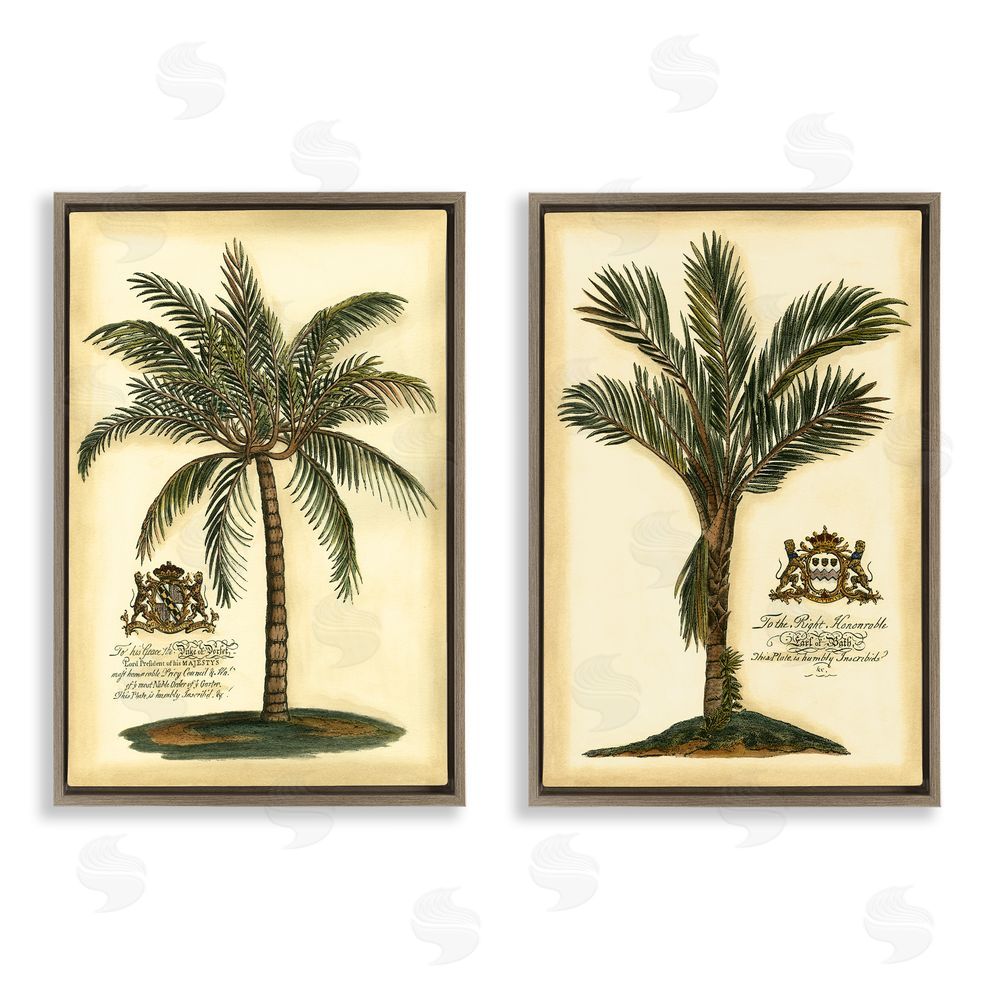 Vision Studio Vintage Historical Palms Brown Floating Frame Canvas Wall Art Print
