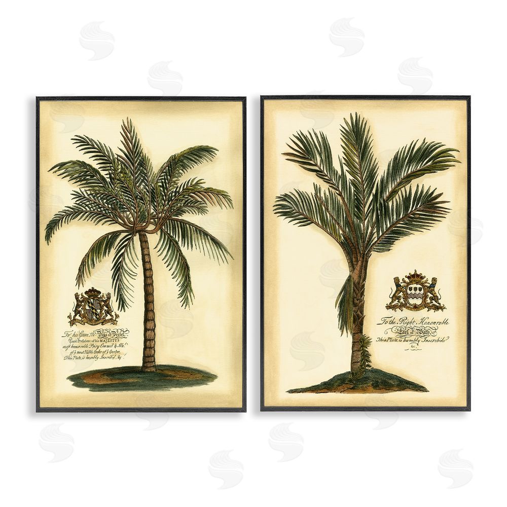 Vision Studio Vintage Historical Palms Black Framed Giclee Wall Art Print