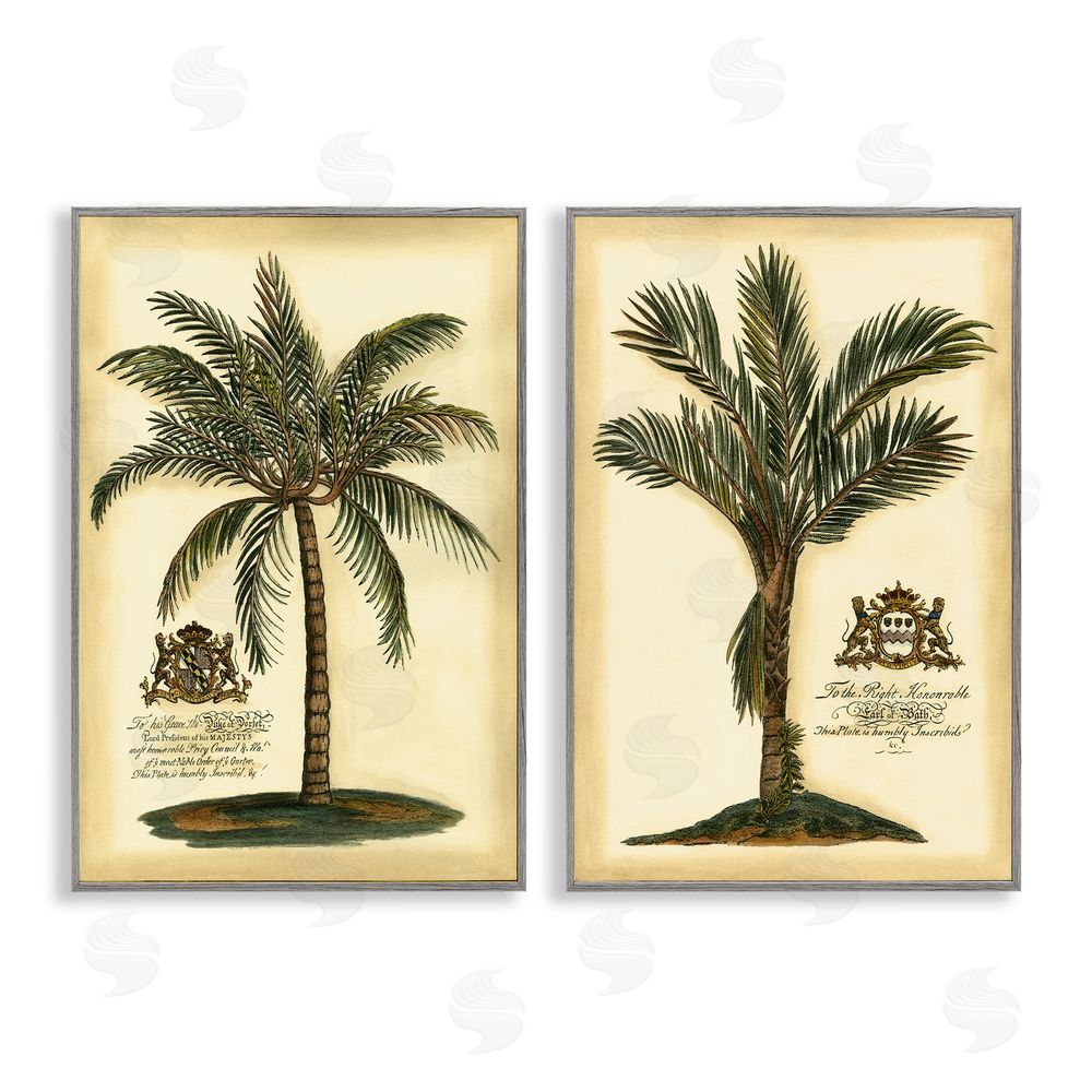 Vision Studio Vintage Historical Palms Gray Framed Giclee Wall Art Print