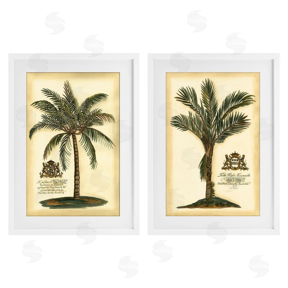 Vision Studio Vintage Historical Palms White Framed Print Under Glass Wall Art
