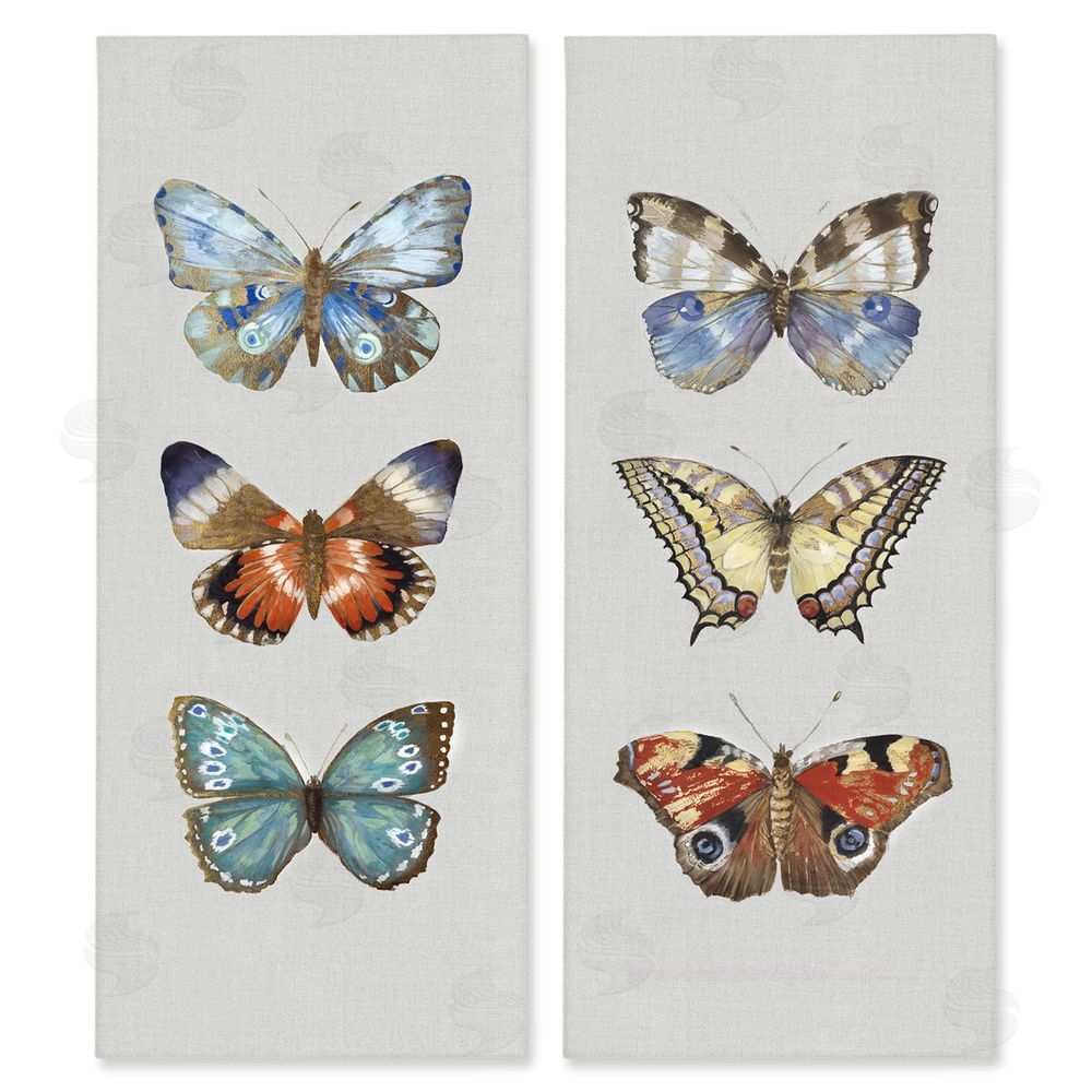 Maya Woods Delicate Butterflies Of The Wild Stretched Canvas Wall Art Print