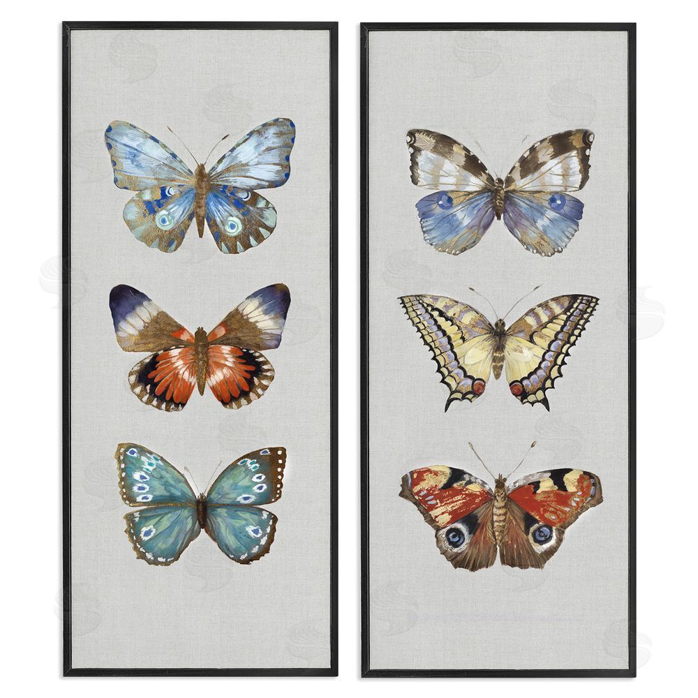 Maya Woods Delicate Butterflies Of The Wild Black Framed Giclee Wall Art Print