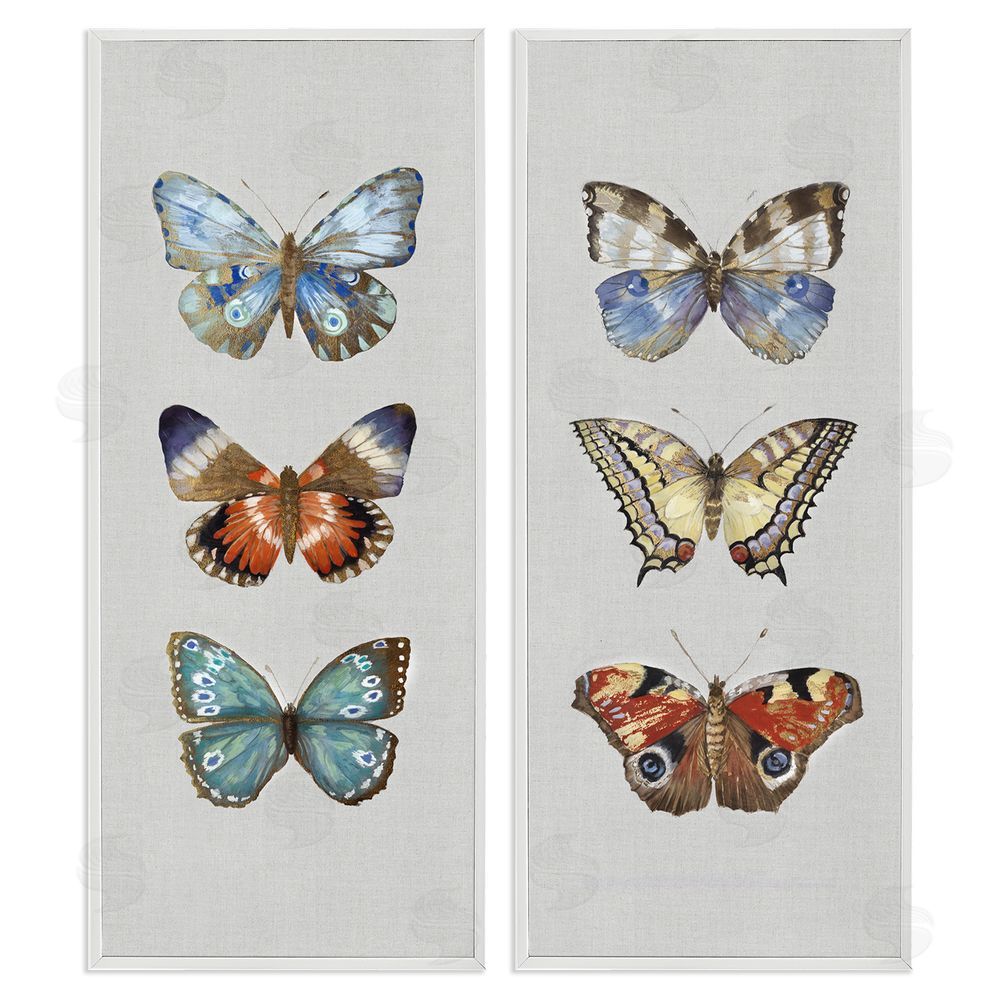 Maya Woods Delicate Butterflies Of The Wild White Framed Giclee Wall Art Print