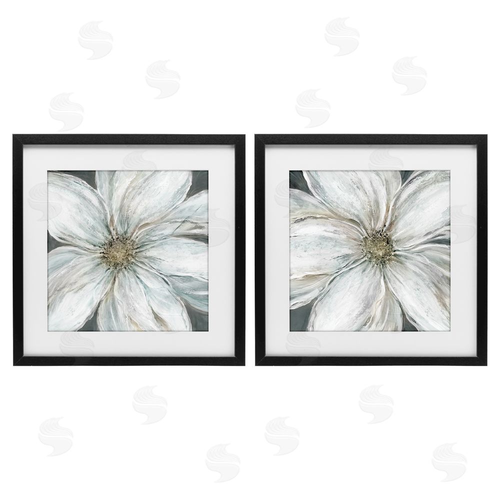 Carol Robinson Soft White Blossoms Closeup Black Framed Print Under Glass Wall Art