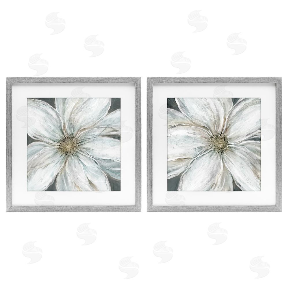 Carol Robinson Soft White Blossoms Closeup Gray Framed Print Under Glass Wall Art
