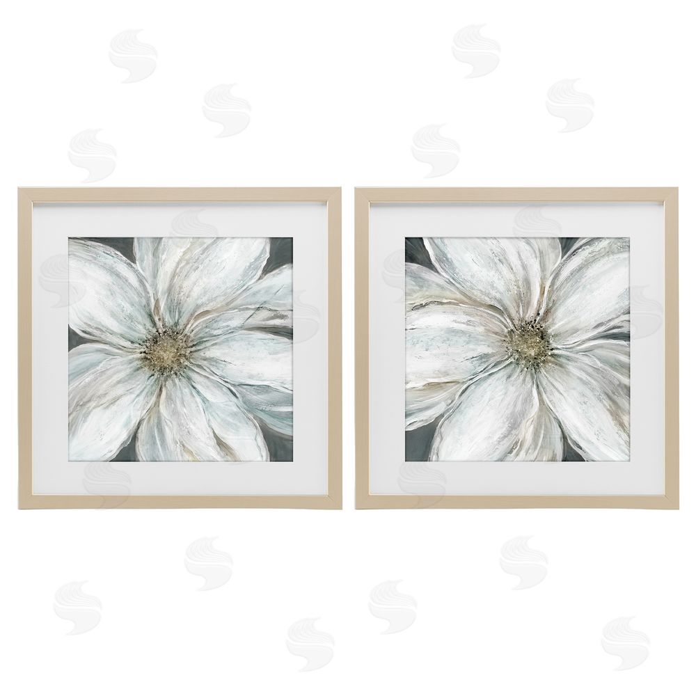 Carol Robinson Soft White Blossoms Closeup Brown Framed Print Under Glass Wall Art