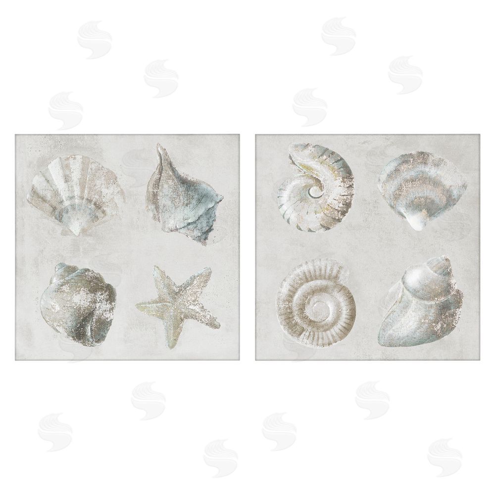 Lorenzo Collective Shoreline Treasures Seashells Collection Stretched Canvas Wall Art Print