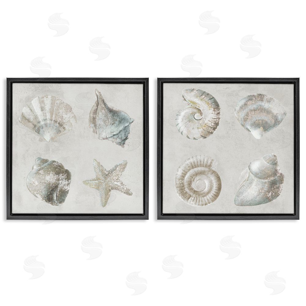 Lorenzo Collective Shoreline Treasures Seashells Collection Black Floating Frame Canvas Wall Art Print