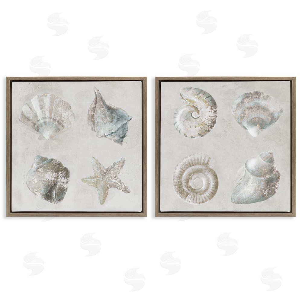 Lorenzo Collective Shoreline Treasures Seashells Collection Brown Floating Frame Canvas Wall Art Print