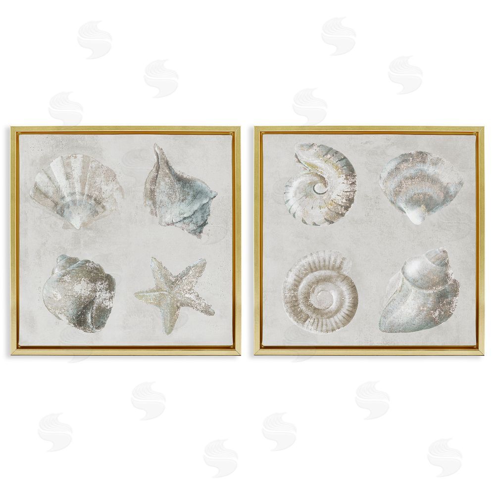 Lorenzo Collective Shoreline Treasures Seashells Collection Gold Floating Frame Canvas Wall Art Print