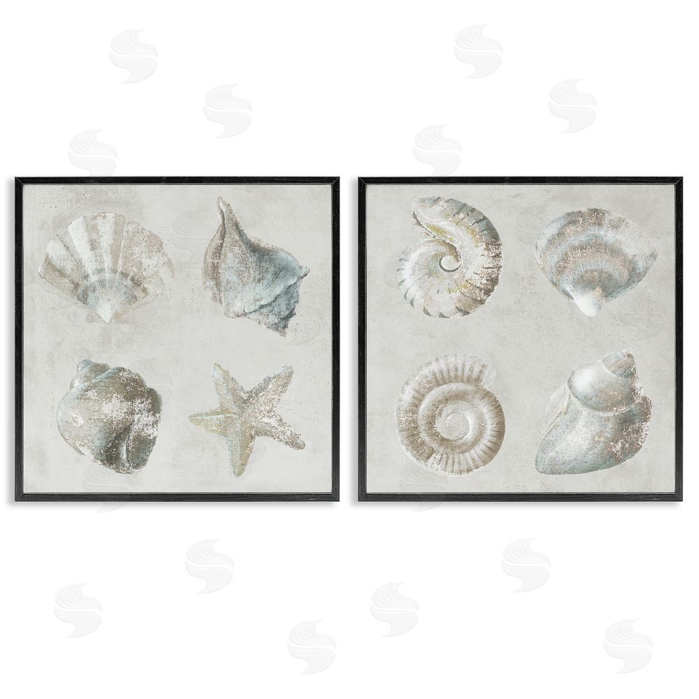 Lorenzo Collective Shoreline Treasures Seashells Collection Black Framed Giclee Wall Art Print