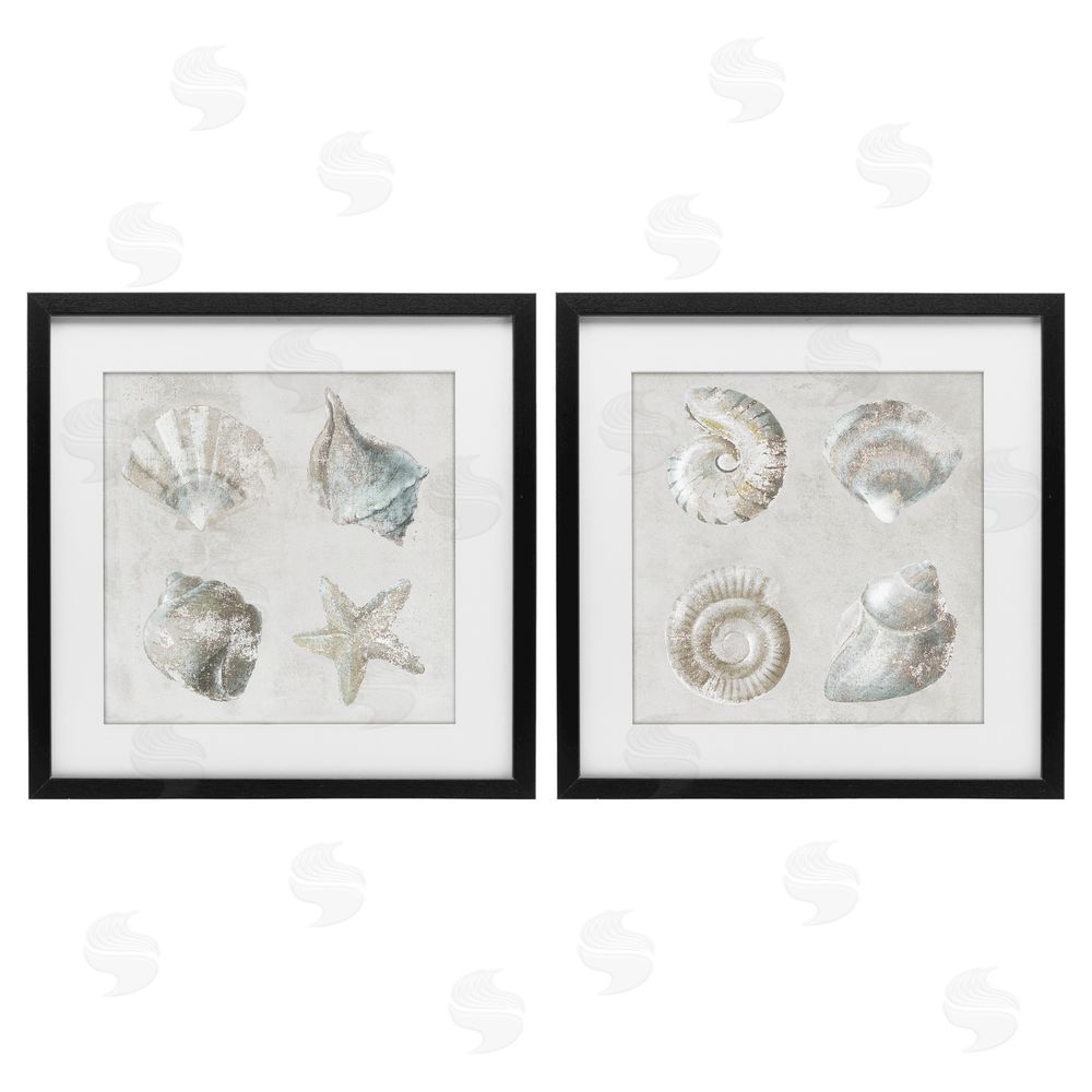 Lorenzo Collective Shoreline Treasures Seashells Collection Black Framed Print Under Glass Wall Art