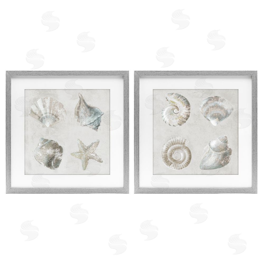 Lorenzo Collective Shoreline Treasures Seashells Collection Gray Framed Print Under Glass Wall Art