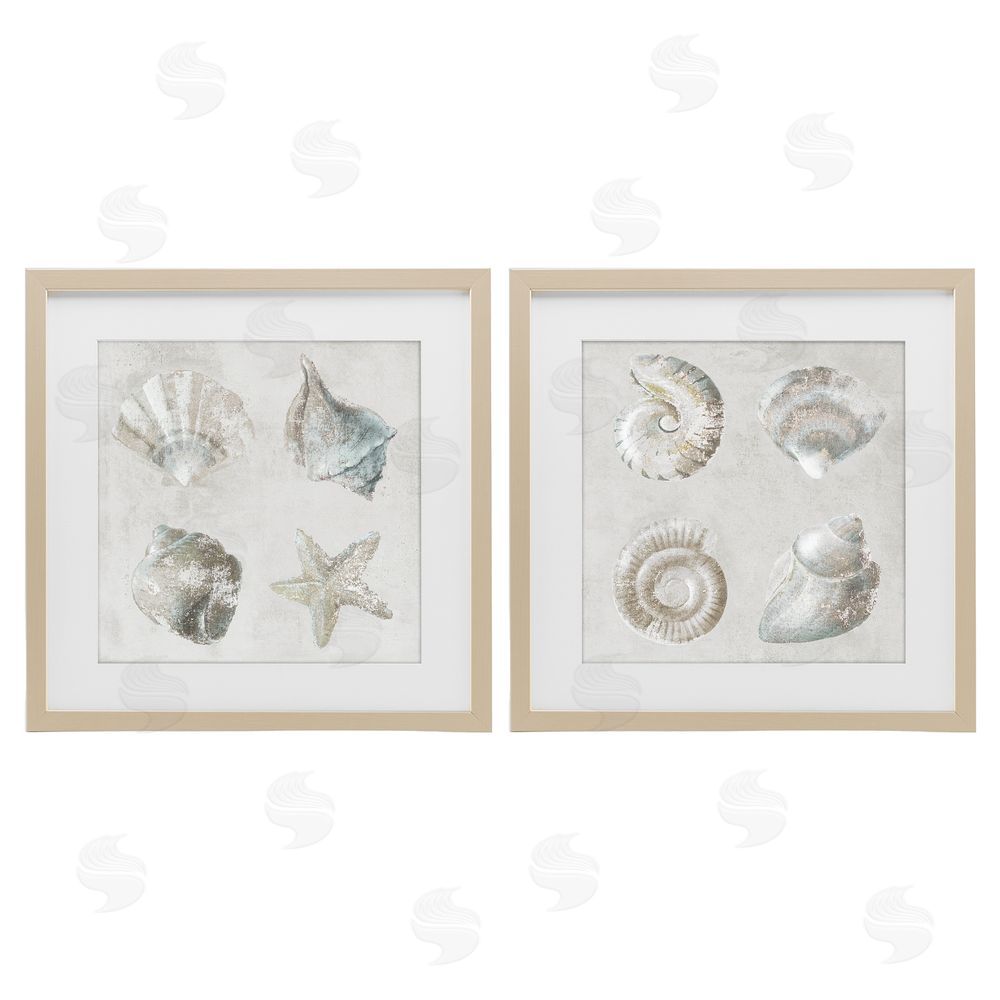 Lorenzo Collective Shoreline Treasures Seashells Collection Brown Framed Print Under Glass Wall Art