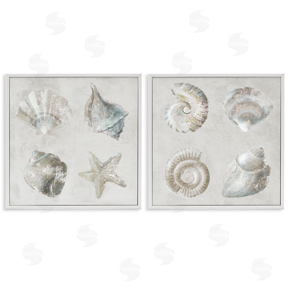 Lorenzo Collective Shoreline Treasures Seashells Collection White Framed Giclee Wall Art Print
