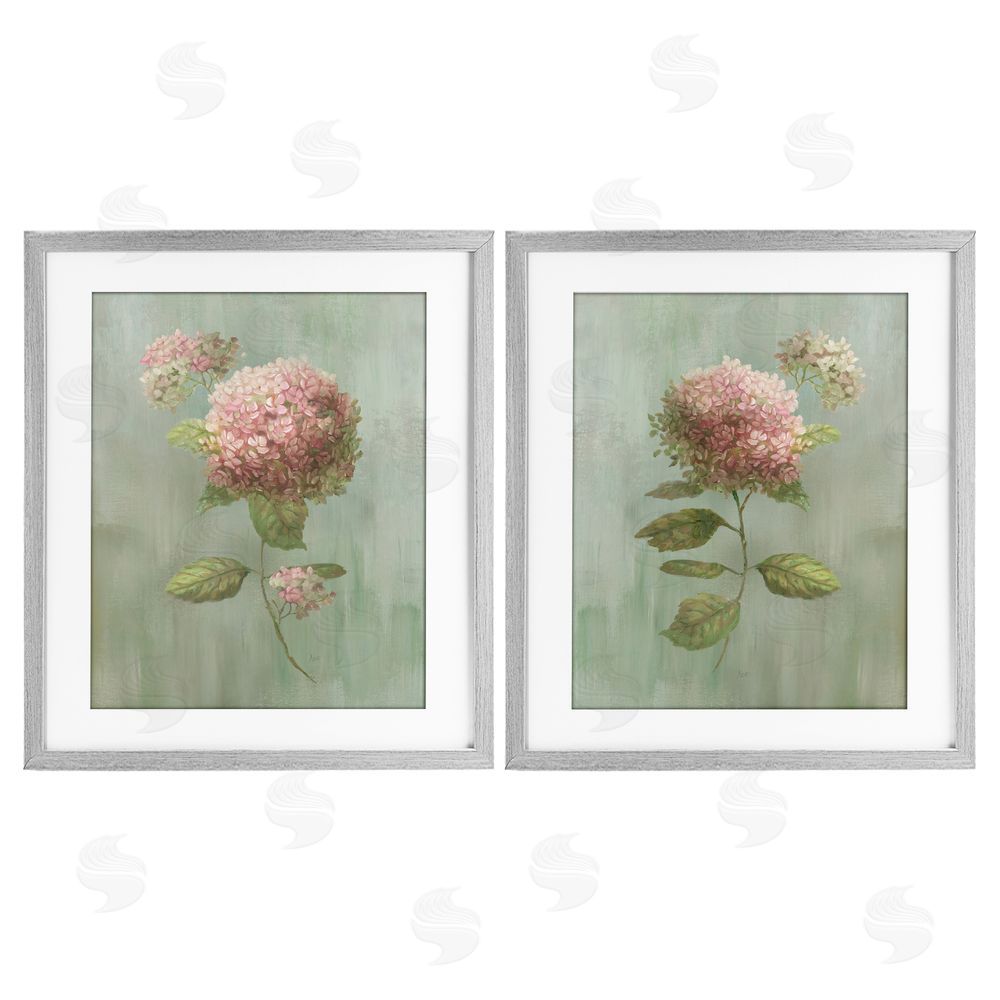 Nan Aged Pink Hydrangeas Gray Framed Print Under Glass with Matting Wall Art