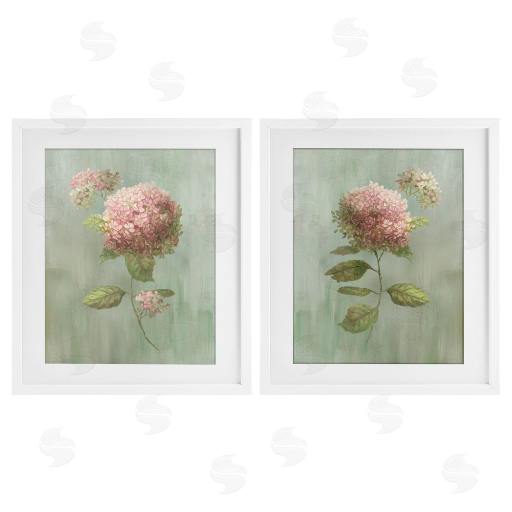 Nan Aged Pink Hydrangeas White Framed Print Under Glass with Matting Wall Art