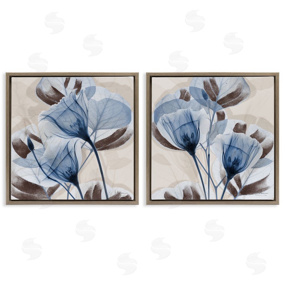 Albert Koetsier Blooming Sapphire Union Brown Floating Frame Canvas Wall Art Print